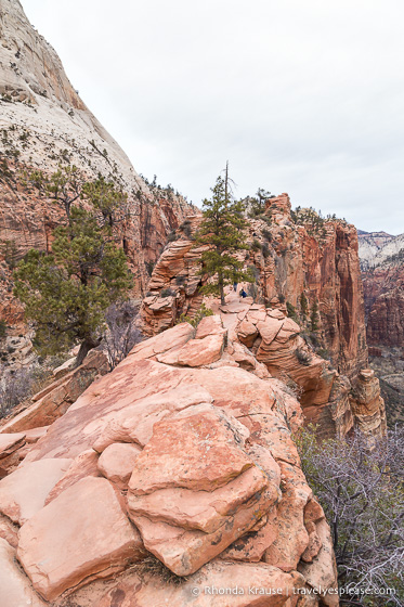 travelyesplease.com | Angels Landing Hike- What to Expect on Zion National Park's Most Thrilling Trail