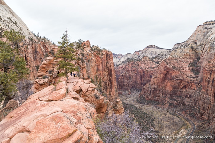 travelyesplease.com | Angels Landing Trail- What to Expect on Zion National Park's Most Thrilling Hike