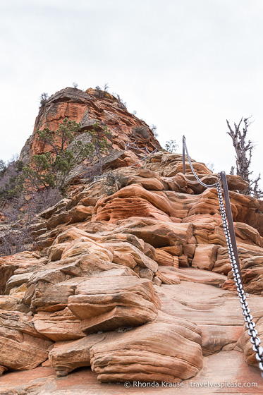 travelyesplease.com | Angels Landing Trail- What to Expect on Zion National Park's Most Thrilling Hike