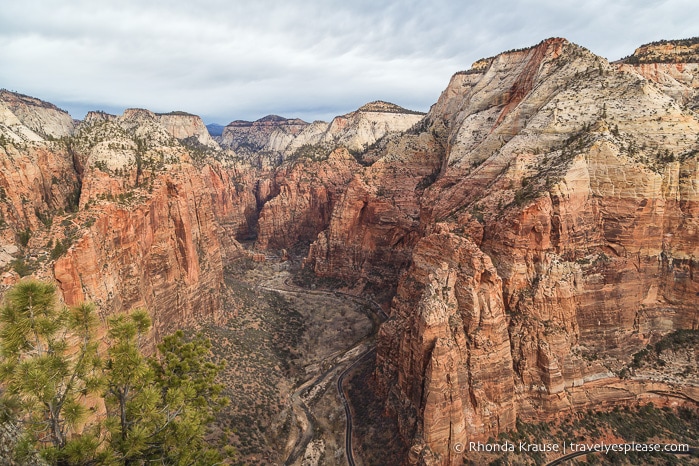 travelyesplease.com | Hiking Angels Landing Trail- What to Expect on Zion National Park's Most Iconic Hike