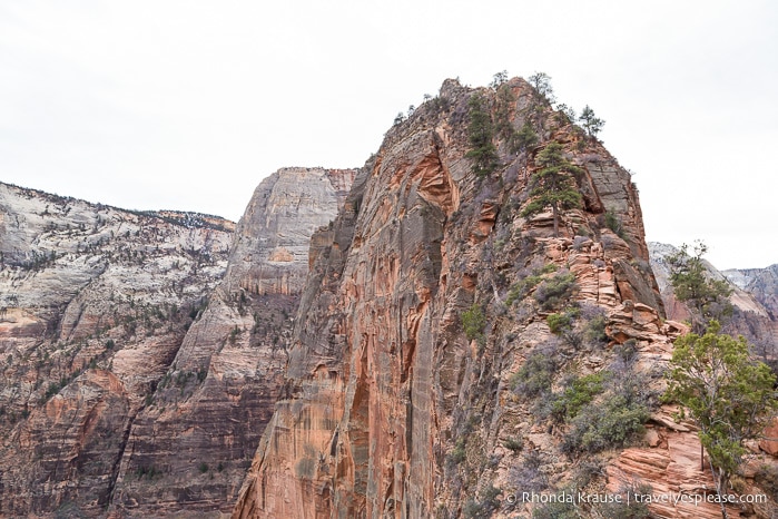 travelyesplease.com | Angels Landing Hike- What to Expect on Zion National Park's Most Thrilling Trail