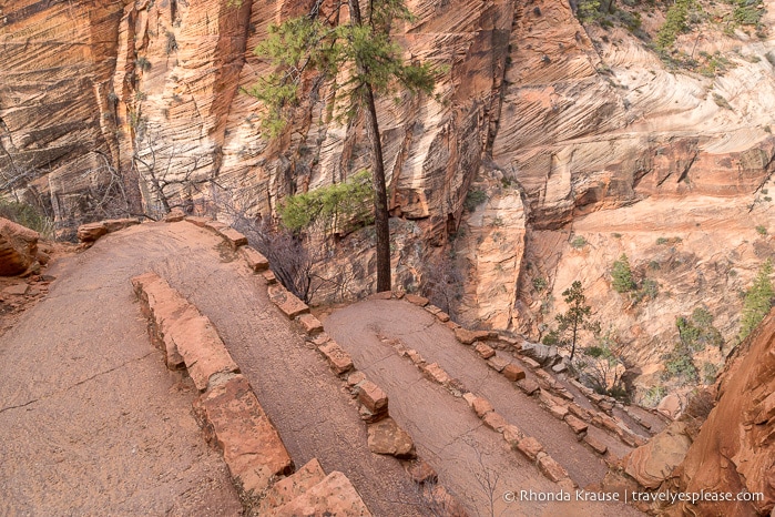 travelyesplease.com | Angels Landing Hike- What to Expect on Zion National Park's Most Thrilling Trail