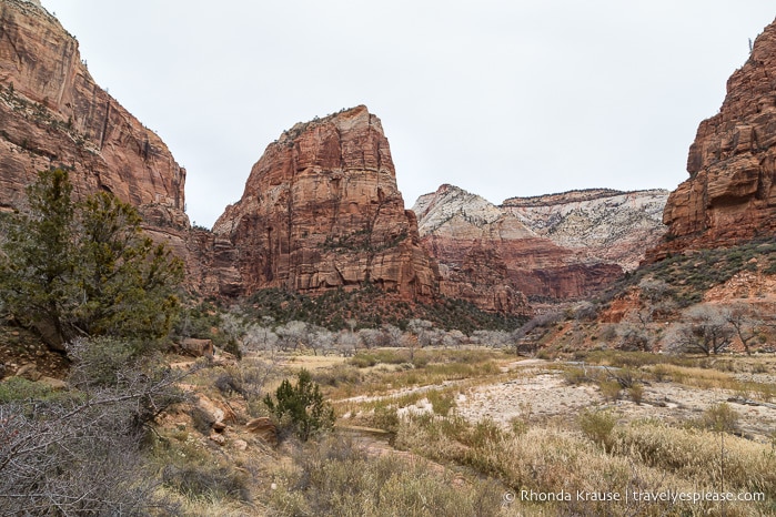 travelyesplease.com | Angels Landing Trail- What to Expect on Zion National Park's Most Thrilling Hike