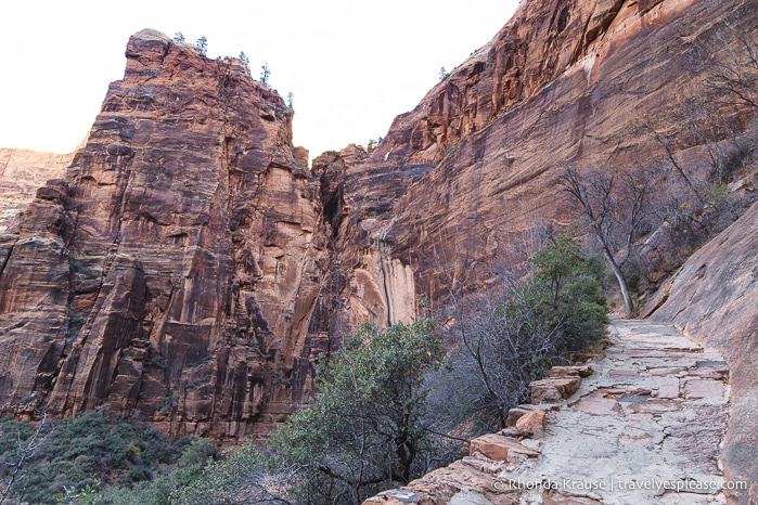 travelyesplease.com | Hiking to Observation Point in Zion National Park, Utah