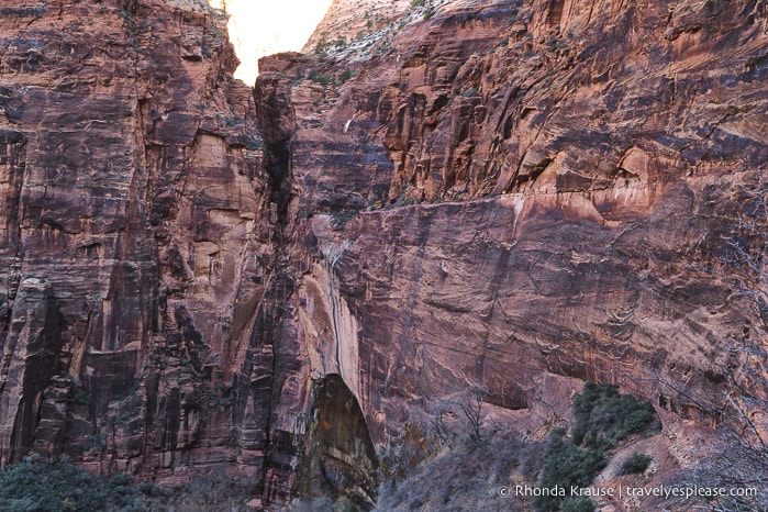 travelyesplease.com | Observation Point Trail- A Classic Hike in Zion National Park