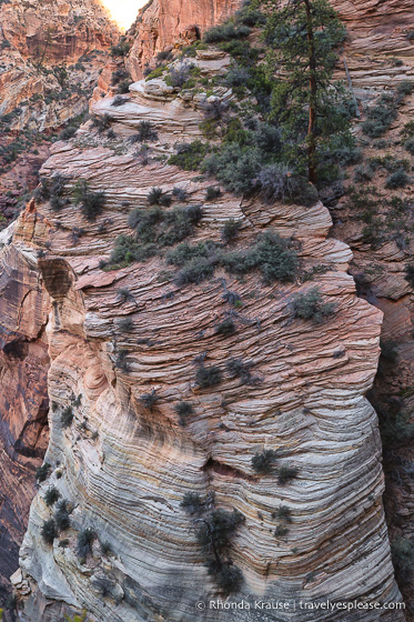 travelyesplease.com | Observation Point Trail- A Classic Hike in Zion National Park