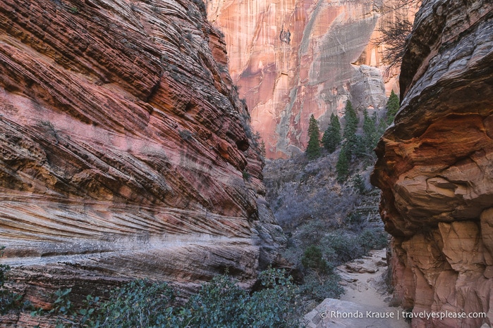 travelyesplease.com | Observation Point Trail- A Classic Hike in Zion National Park