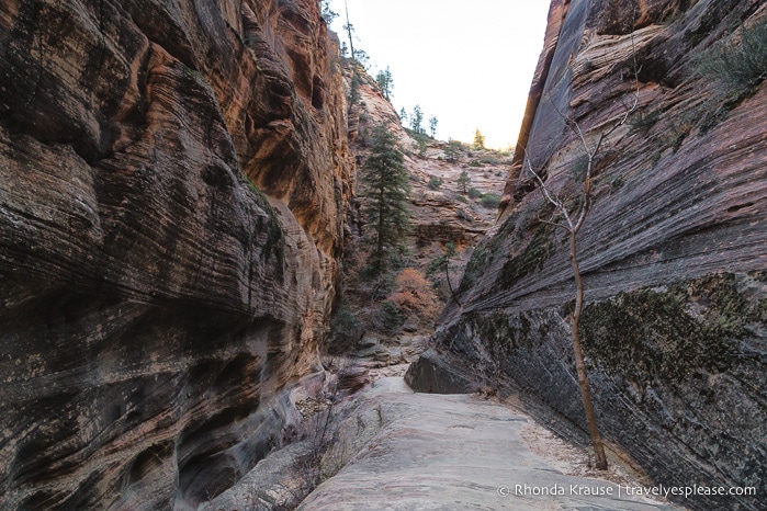 travelyesplease.com | Hiking to Observation Point in Zion National Park, Utah