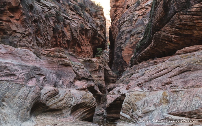 travelyesplease.com | Observation Point Trail- A Classic Hike in Zion National Park