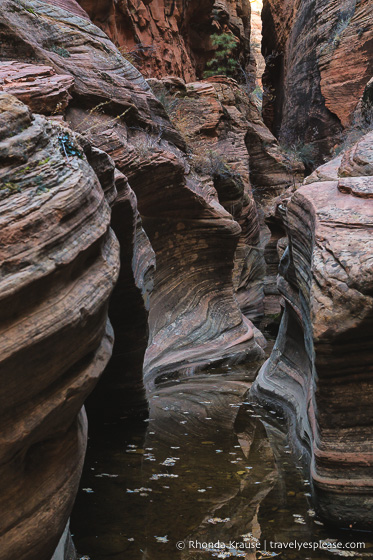 travelyesplease.com | Hiking to Observation Point in Zion National Park, Utah