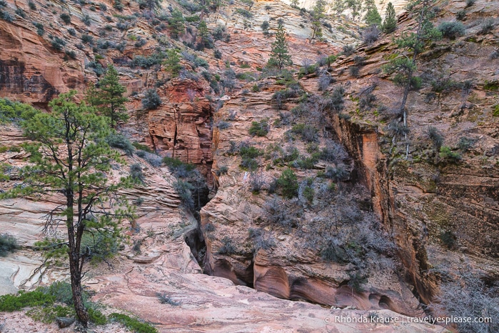 travelyesplease.com | Hiking to Observation Point in Zion National Park, Utah