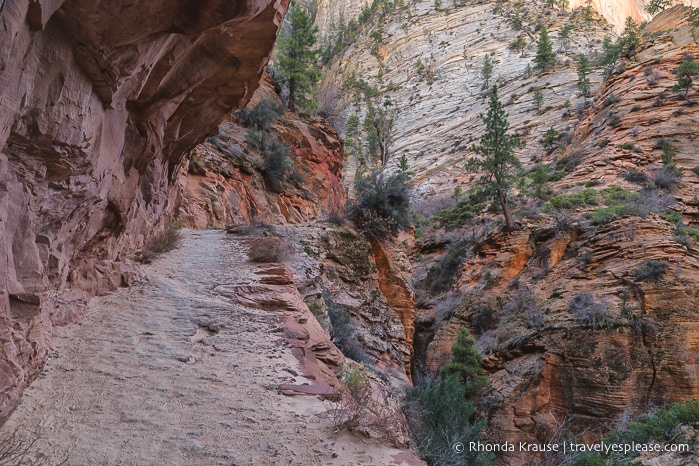 travelyesplease.com | Observation Point Trail- A Classic Hike in Zion National Park