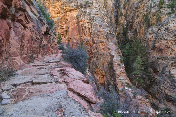 travelyesplease.com | Observation Point Trail- A Classic Hike in Zion National Park