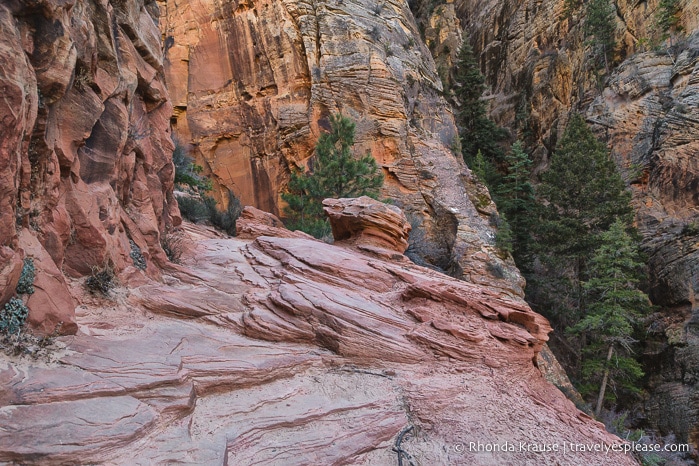 travelyesplease.com | Hiking to Observation Point in Zion National Park, Utah