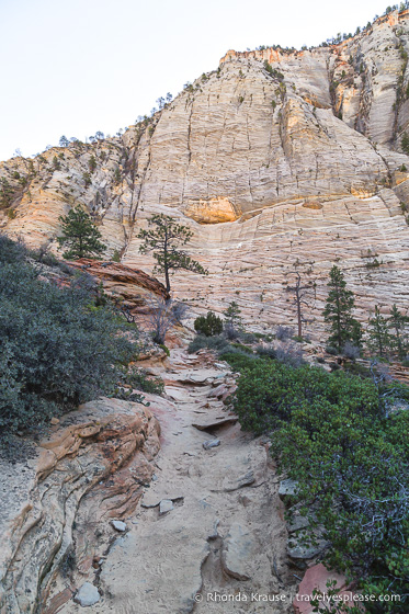 travelyesplease.com | Observation Point Trail- A Classic Hike in Zion National Park