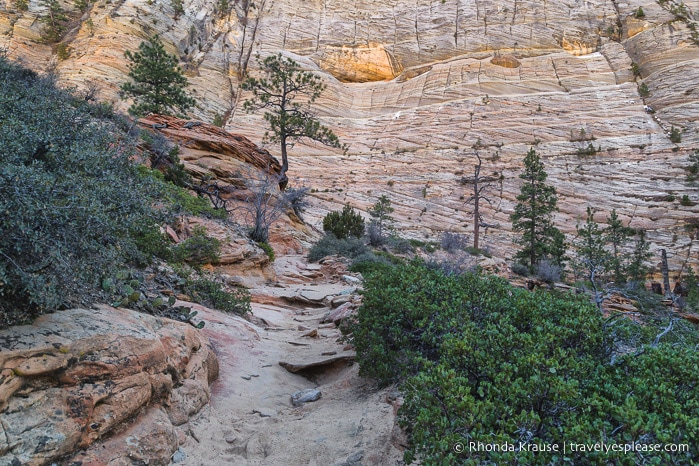 travelyesplease.com | Hiking to Observation Point in Zion National Park, Utah