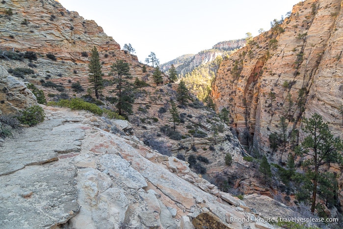 travelyesplease.com | Hiking to Observation Point in Zion National Park, Utah