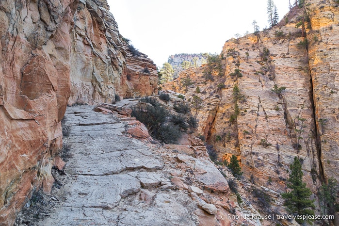 travelyesplease.com | Observation Point Trail- A Classic Hike in Zion National Park