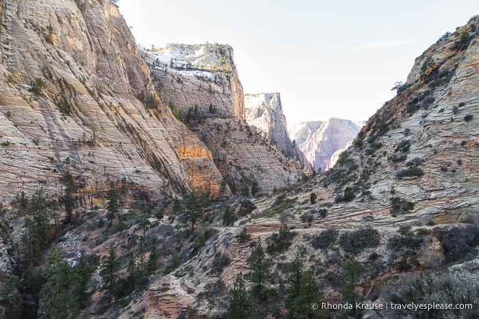 travelyesplease.com | Observation Point Trail- A Classic Hike in Zion National Park