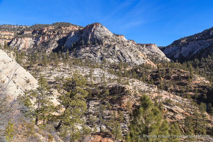 travelyesplease.com | Hiking to Observation Point in Zion National Park, Utah