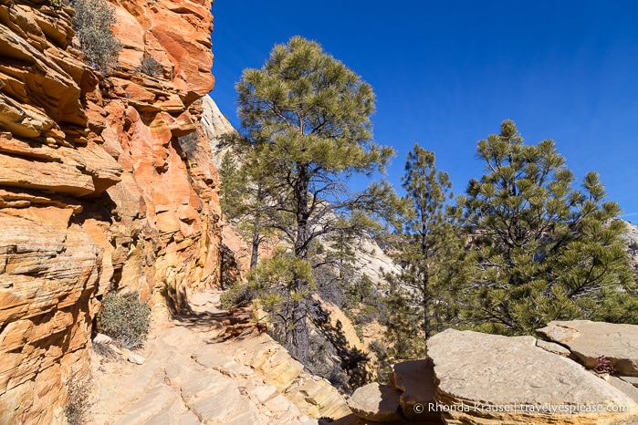 travelyesplease.com | Hiking to Observation Point in Zion National Park, Utah