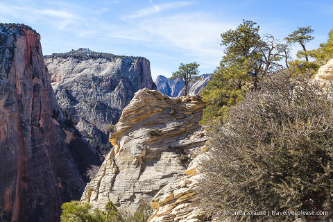 travelyesplease.com | Observation Point Trail- A Classic Hike in Zion National Park