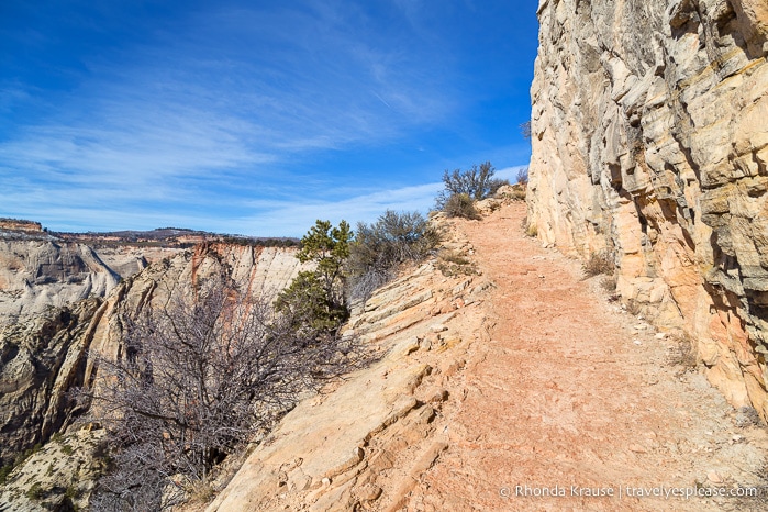 travelyesplease.com | Observation Point Trail- A Classic Hike in Zion National Park