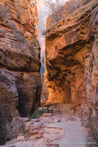 travelyesplease.com | Observation Point Trail- A Classic Hike in Zion National Park