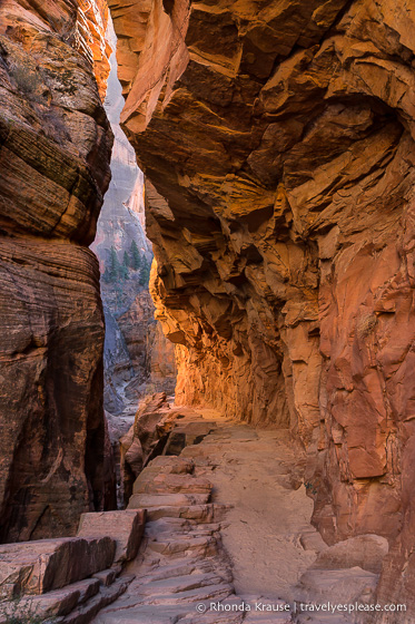 travelyesplease.com | Hiking to Observation Point in Zion National Park, Utah