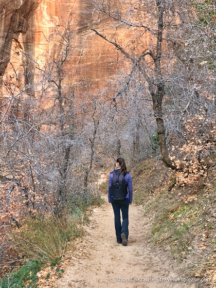 travelyesplease.com | Hiking to Observation Point in Zion National Park, Utah