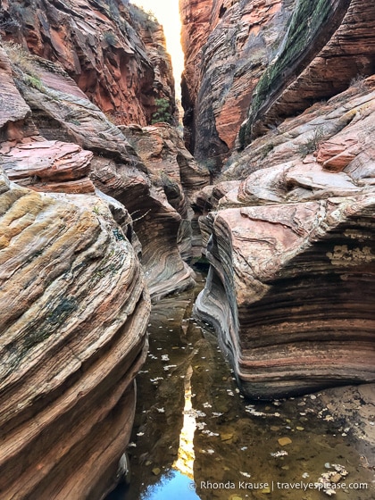 travelyesplease.com | Hiking to Observation Point in Zion National Park, Utah