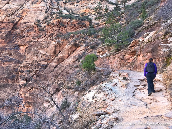 travelyesplease.com | Hiking to Observation Point in Zion National Park, Utah