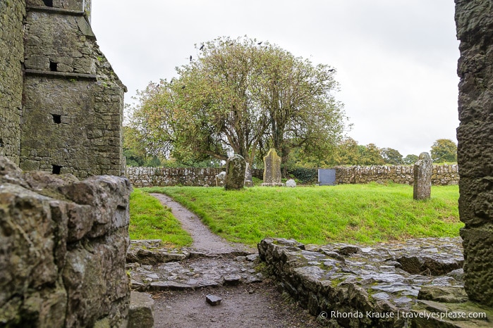 travelyesplease.com | The Atmospheric Ruins of Hore Abbey- Cashel, Ireland