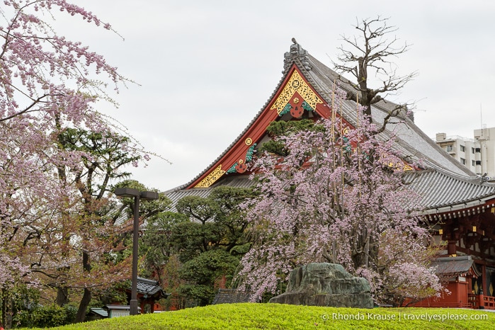 travelyesplease.com | Senso-ji Temple- Getting to Know Tokyo's Oldest Temple