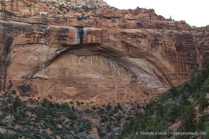 travelyesplease.com | How to Spend 3 Days in Zion National Park- Hikes, Walks, and Scenic Drives