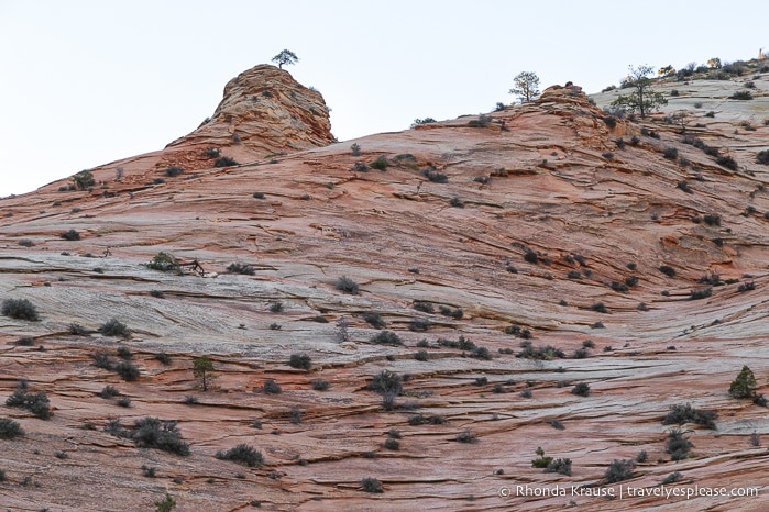 travelyesplease.com | Zion National Park 3 Day Itinerary- Hikes, Walks, and Scenic Drives