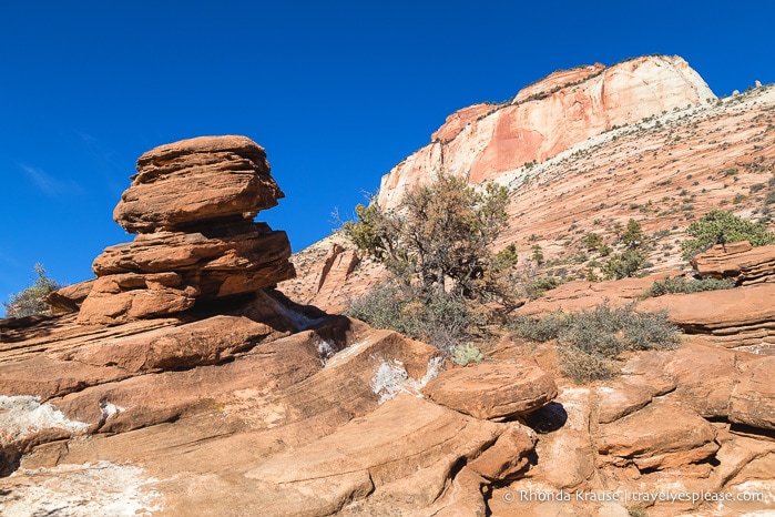 travelyesplease.com | Zion National Park Itinerary- 3 Days of Hikes, Walks, and Scenic Drives