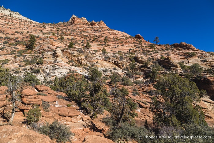 travelyesplease.com | Zion National Park Itinerary- 3 Days of Hikes, Walks, and Scenic Drives