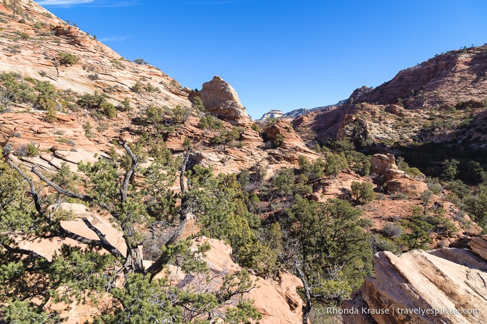 travelyesplease.com | Zion National Park Itinerary- 3 Days of Hikes, Walks, and Scenic Drives