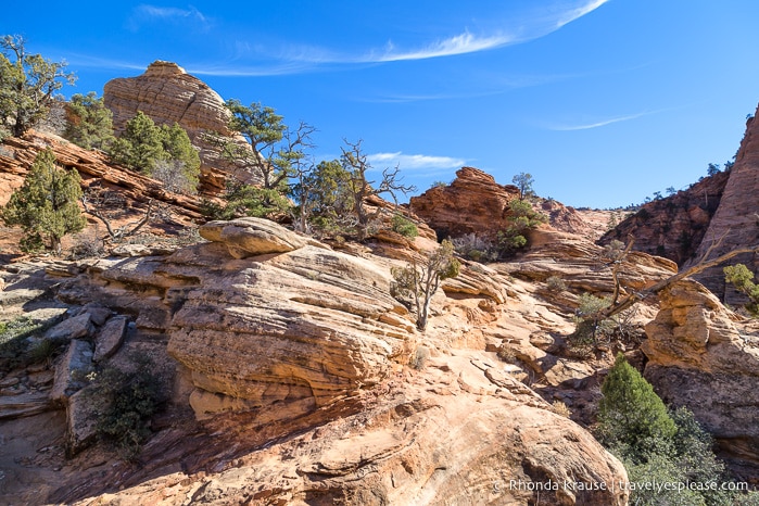 travelyesplease.com | How to Spend 3 Days in Zion National Park- Hikes, Walks, and Scenic Drives