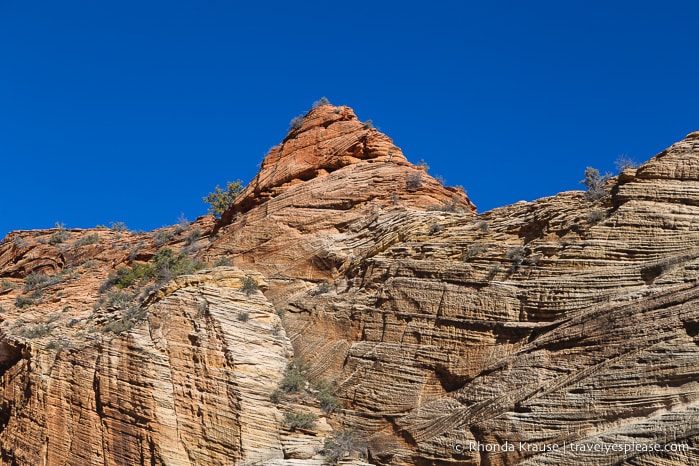 travelyesplease.com | Zion National Park 3 Day Itinerary- Hikes, Walks, and Scenic Drives