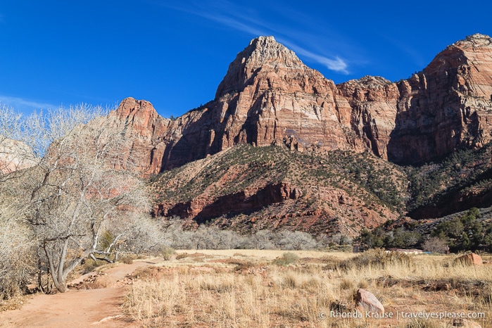 travelyesplease.com | How to Spend 3 Days in Zion National Park- Hikes, Walks, and Scenic Drives