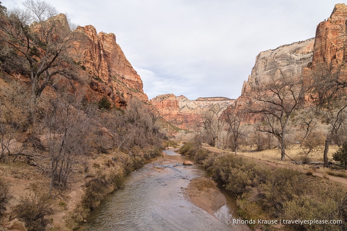 travelyesplease.com | Zion National Park Itinerary- 3 Days of Hikes, Walks, and Scenic Drives