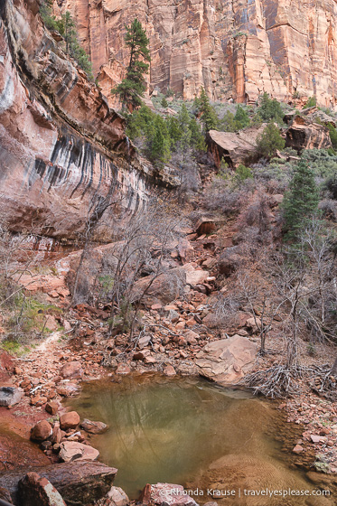 travelyesplease.com | Zion National Park 3 Day Itinerary- Hikes, Walks, and Scenic Drives