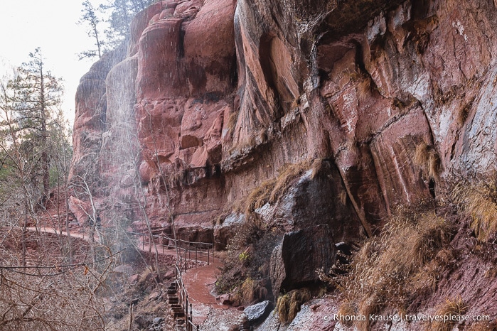 travelyesplease.com | How to Spend 3 Days in Zion National Park- Hikes, Walks, and Scenic Drives