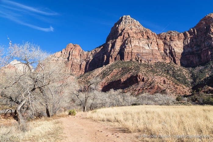 travelyesplease.com | Hiking Watchman Trail in Zion National Park