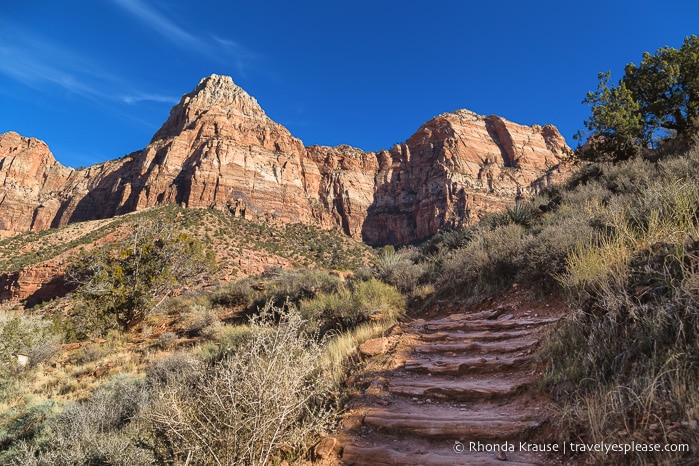 travelyesplease.com | Hiking Watchman Trail in Zion National Park