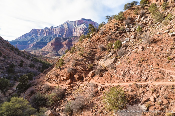 travelyesplease.com | Watchman Trail Hike in Zion National Park