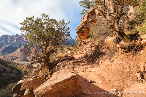 travelyesplease.com | Watchman Trail Hike in Zion National Park