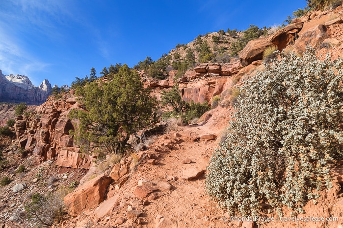 travelyesplease.com | Hiking Watchman Trail in Zion National Park